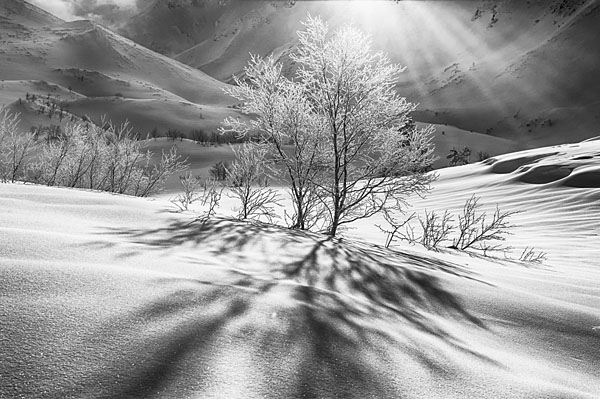 Photograph Suk Eun Kim Light And Shadow on One Eyeland